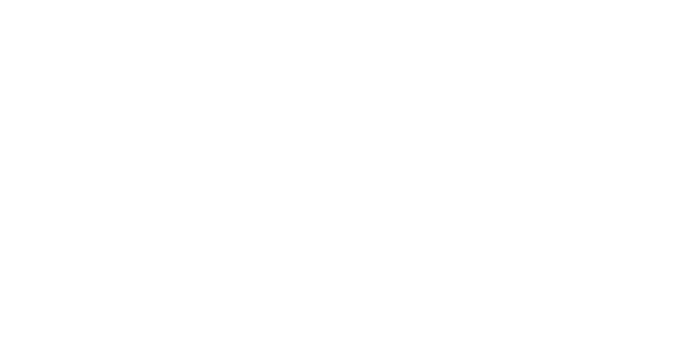 Pivotech White logo