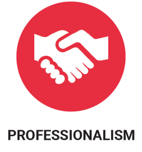 professionalism-